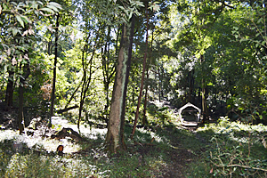 The Intruder: Laboratory of Forest Art 2021