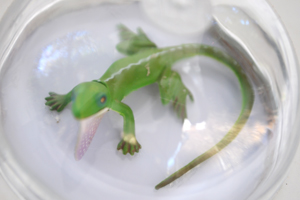 The Intruder: Laboratory of Forest Art 2021