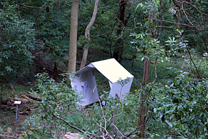 The Intruder: Laboratory of Forest Art 2021